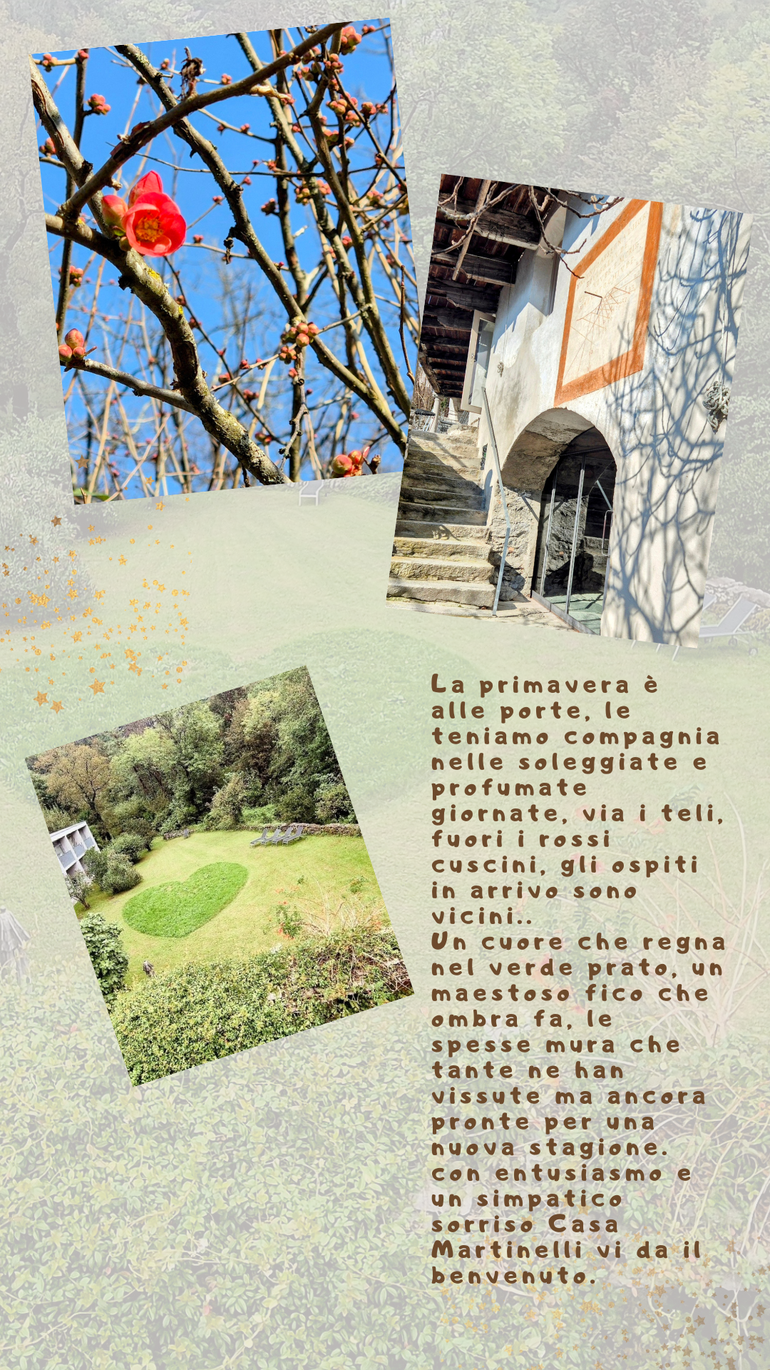 Vento di vita vera
